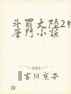 斗罗大陆2绝世唐门小说