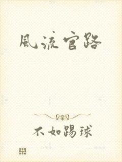 风流官路