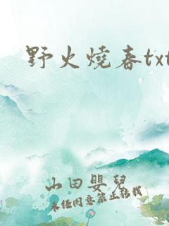 野火烧春txt