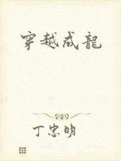 穿越成龙