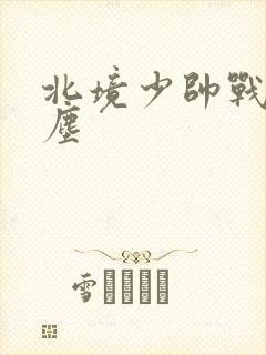 北境少帅战神苏尘