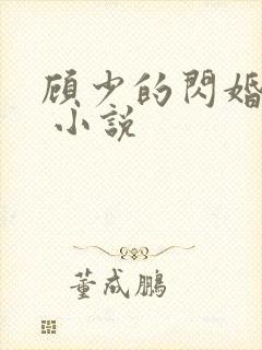 顾少的闪婚宠妻 小说