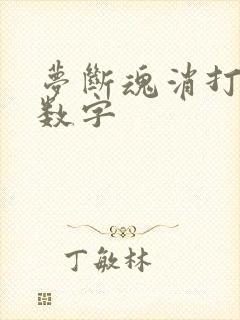 梦断魂消打三个数字