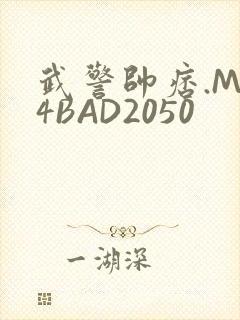 武警帅痞.MP4BAD2050