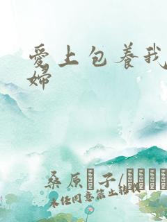 爱上包养我的情妇