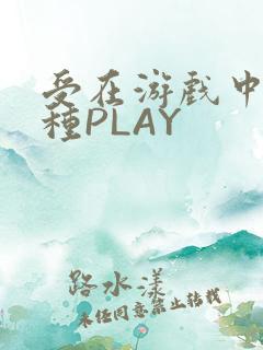 受在游戏中被各种PLAY