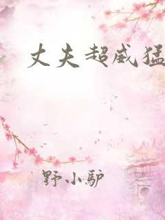 丈夫超威猛