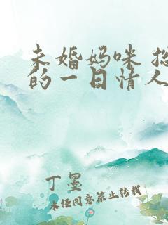 未婚妈咪 总裁的一日情人