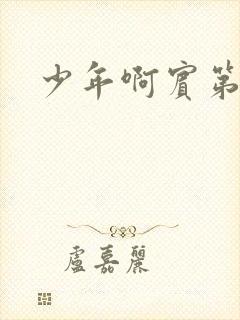 少年啊宾第二部