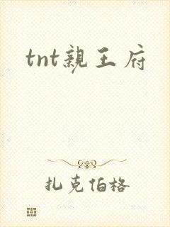 tnt亲王府
