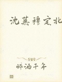 沈芜穆定北小说