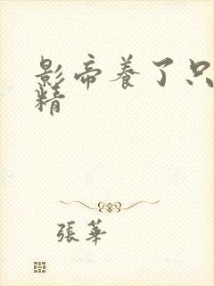 影帝养了只玫瑰精