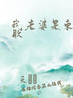 我老婆是东方不败
