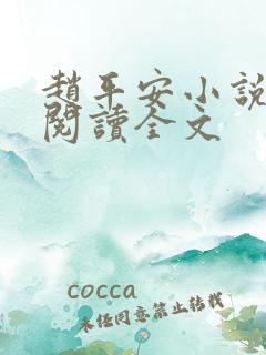 赵平安小说免费阅读全文