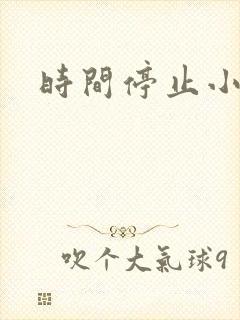 时间停止小说