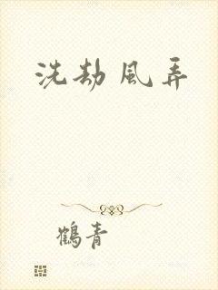 洗劫 风弄