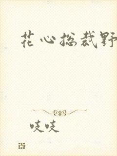 花心总裁野蛮妻