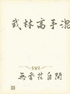 武林高手混都市