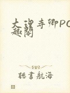 大理寺卿PO笔趣阁