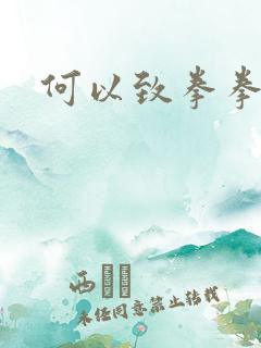 何以致拳拳番外