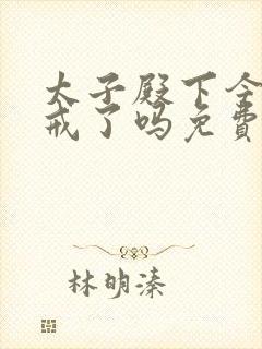 太子殿下今天破戒了吗免费阅读