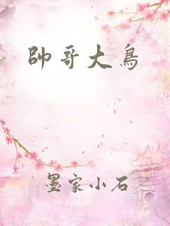 帅哥大鸟