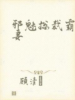 邪魅总裁霸占新妻