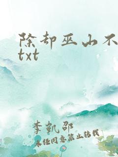除却巫山不是云txt