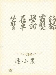 坐在学霸的棍子背单词双楠