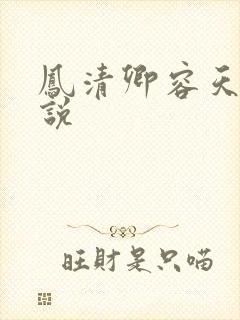 凤清卿容天凌小说