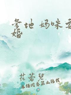 爹地 妈咪要逃婚