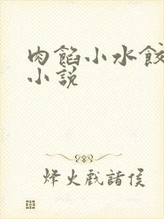 肉馅小水饺写的小说