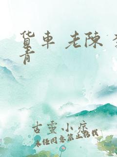 货车 老陈 李青