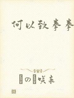 何以致拳拳番外