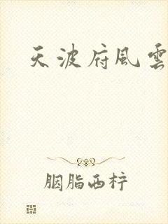 天波府风云
