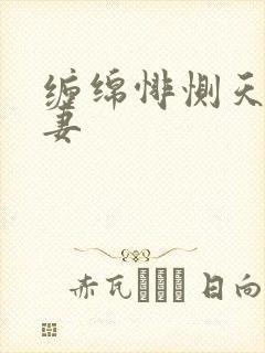 缠绵悱恻天价前妻