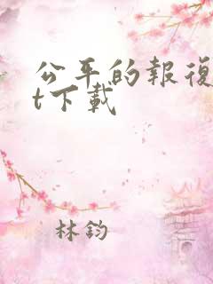 公平的报复txt下载