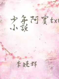 少年阿宾txt小说