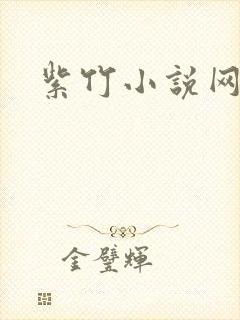 紫竹小说网
