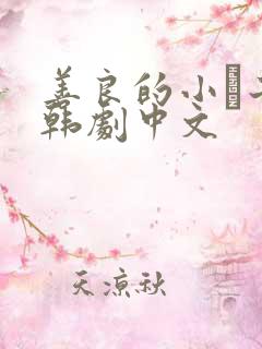 善良的小峓子2韩剧中文