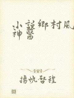 小说乡村风流小神医