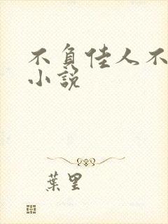 不负佳人不负卿小说