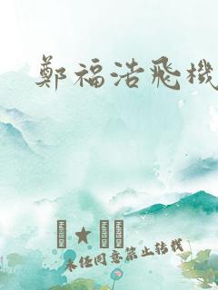 郑福浩飞机坠海