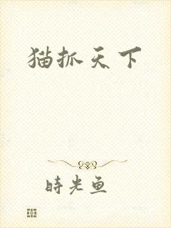 猫抓天下