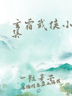 玄霜武侠小说全集