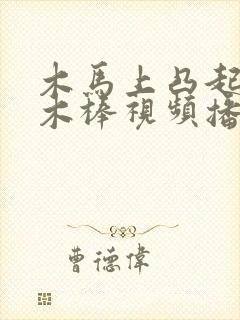 木马上凸起电动木棒视频播放