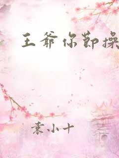 王爷你节操掉了