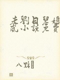 老刘日儿媳妇张岚小说免费阅读