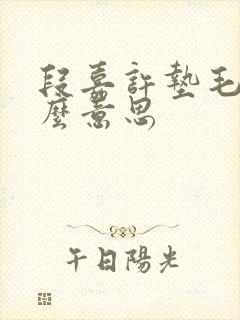 段嘉许垫毛巾什么意思