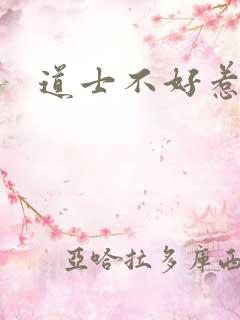 道士不好惹小说